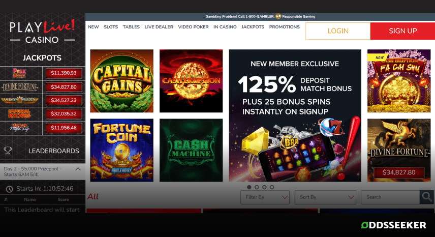 A screenshot of the desktop login page for PlayLive! Casino